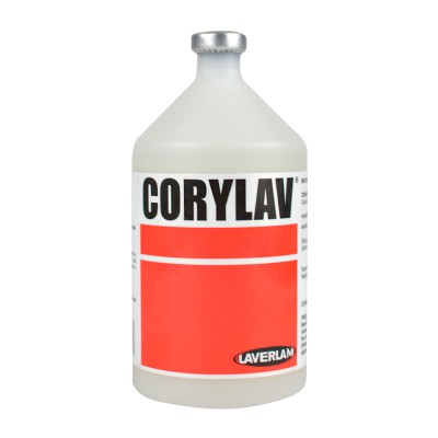 CORYLAV