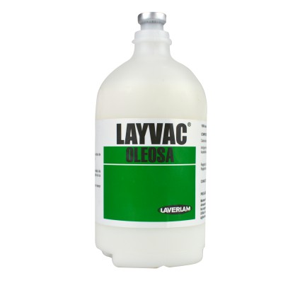 LAYVAC