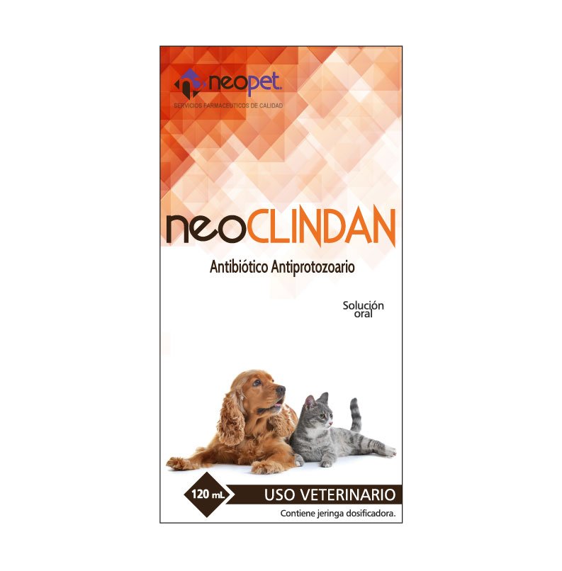 neoClindan