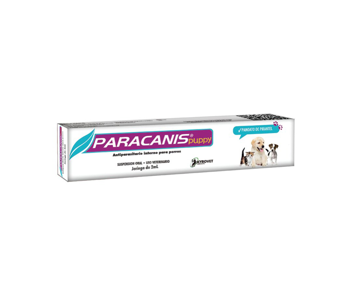 Paracanis Puppy