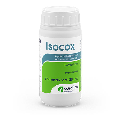 ISOCOX - Imagen 2