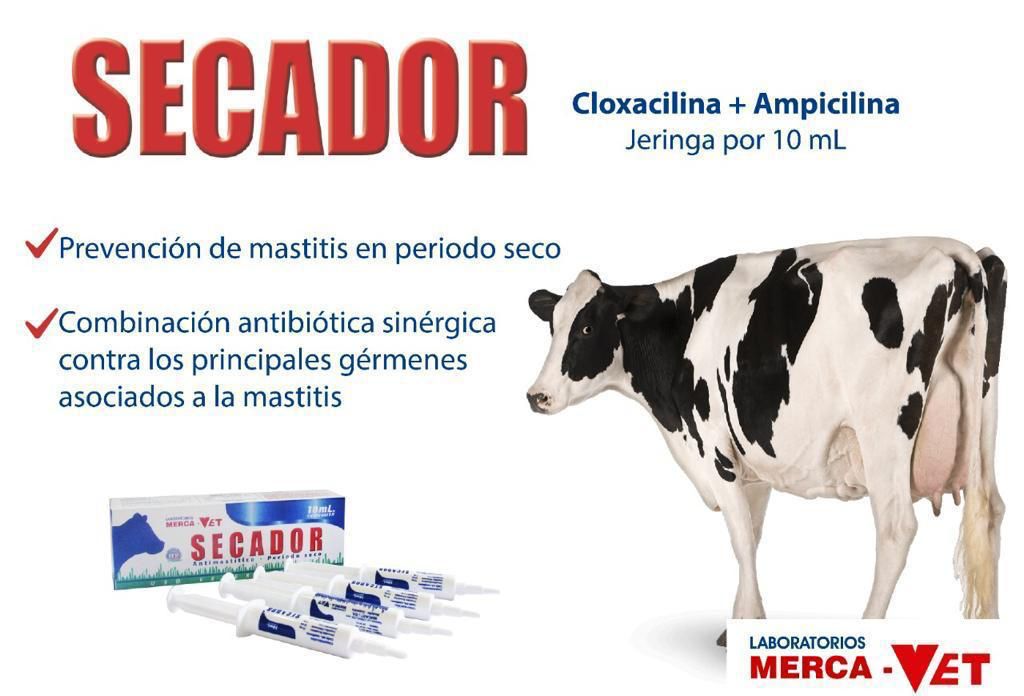 Secador MercaVet - Imagen 3