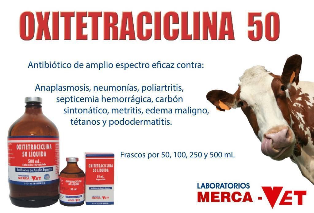 OXITETRACICLINA 50 MERCAVET - Imagen 4