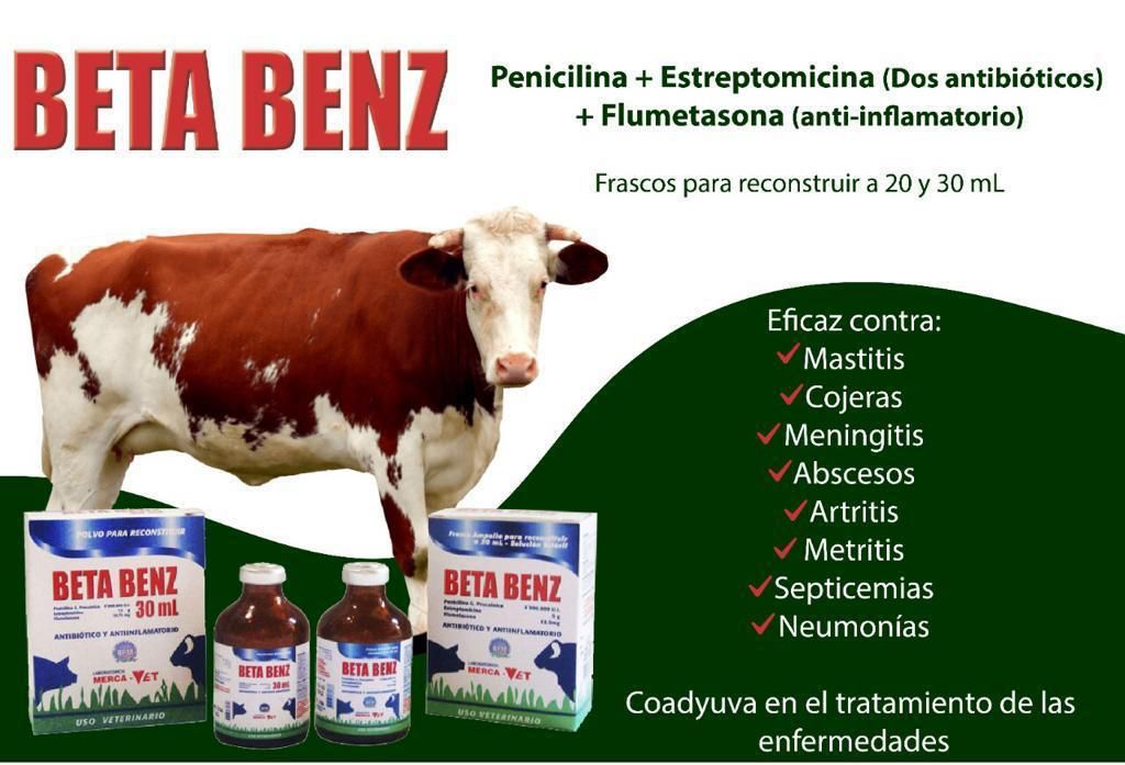 BETA-BENZ - Imagen 2