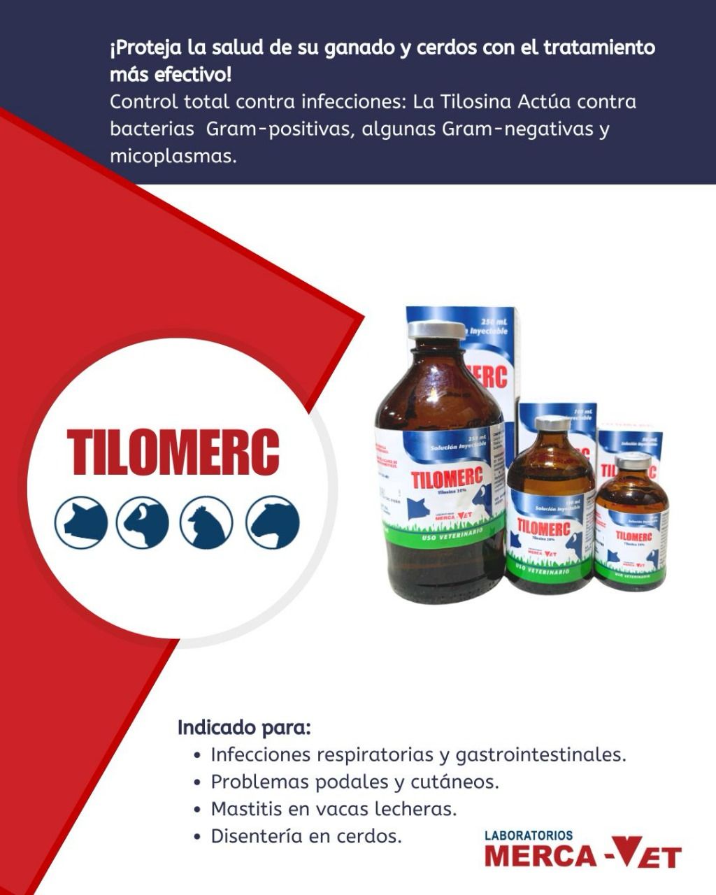 TILOMERC - Imagen 3