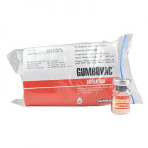 GUMBOVAC