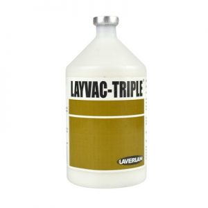 LAYVAC - TRIPLE