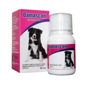 DAMASCAN