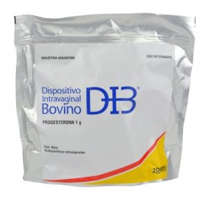 DIB1