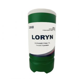 LORYN