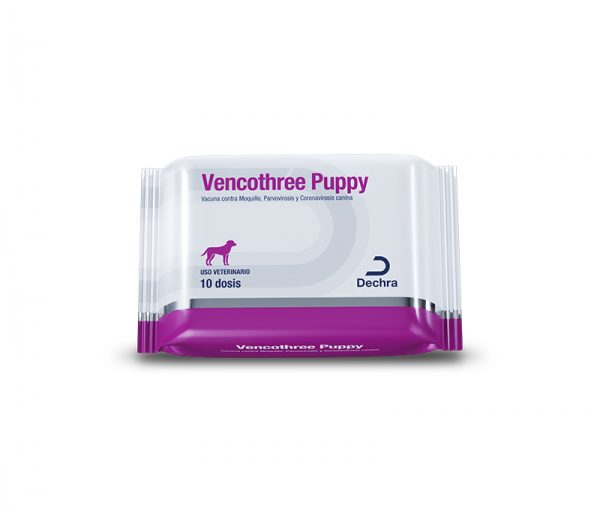 Vencothree Puppy