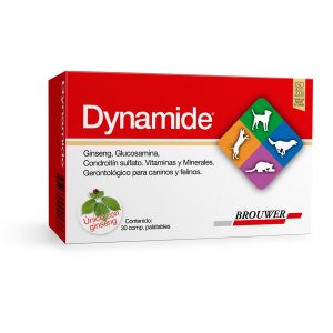 Dynamide